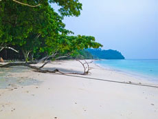 ทัวร์เกาะรอก (ค้างคืนบนเกาะ)