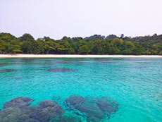 ทัวร์เกาะรอก (ค้างคืนบนเกาะ)