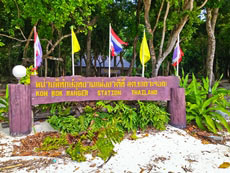 ทัวร์เกาะรอก (ค้างคืนบนเกาะ)