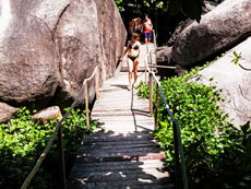 ทัวร์สิมิลัน (ค้างคืนบนเกาะ)