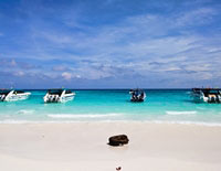 ทัวร์เกาะพีพี เกาะไม้ไผ่ เกาะตาชัย เกาะราชา อ่าวพังงา แคนู (เรือหางยาว)