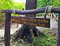 ทัวร์เกาะตาชัย (รับจากเขาหลัก)