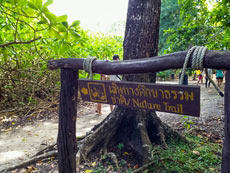 ทัวร์เกาะตาชัย สิมิลัน 2in1