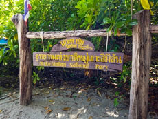 ทัวร์เกาะตาชัย สิมิลัน 2in1
