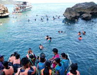 ทัวร์เกาะกระดาน เกาะเชือก เกาะม้า ถ้ำมรกต (เรือเร็ว)