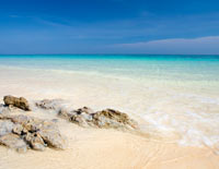 ทัวร์เกาะรอก (เรือเร็ว)