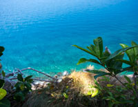 ทัวร์เกาะรอก (เรือเร็ว)
