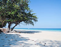 ทัวร์เกาะไม้ท่อน ซันเซท (เรือยอร์ช)