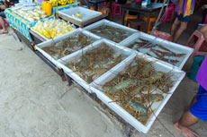 ทัวร์เกาะไข่ ครึ่งวัน + ทัวร์ทะเลแหวก