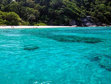 ทัวร์สิมิลัน (ค้างคืนบนเกาะ)
