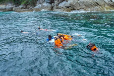 ทัวร์เกาะราชาน้อย เกาะราชาใหญ่ เกาะไม้ท่อน 2 วัน 1 คืน พักเรือคูน