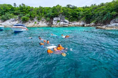 ทัวร์เกาะราชาน้อย เกาะราชาใหญ่ เกาะไม้ท่อน 2 วัน 1 คืน พักเรือคูน