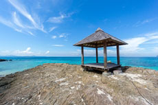 ภูเก็ตแฟนตาซี + ทัวร์เกาะไม้ท่อน เรือยอร์ช + ทัวร์รอบเมืองภูเก็ต