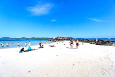 ทัวร์รอบเมืองภูเก็ต + ทัวร์ทะเลแหวก + ทัวร์เกาะพีพี เกาะไข่
