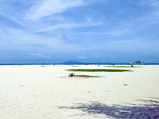 ทัวร์เกาะพีพี เกาะไม้ไผ่ + ทัวร์สิมิลัน