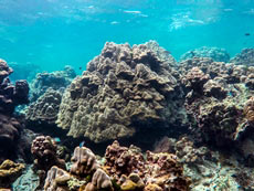 ทัวร์เกาะรอก เกาะห้า + ทัวร์หมู่เกาะสุรินทร์ + ทัวร์รอบเมืองภูเก็ต