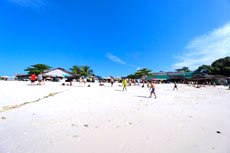 ทัวร์ทะเลแหวก + ทัวร์เกาะพีพี เกาะไข่ + ทัวร์รอบเมืองภูเก็ต