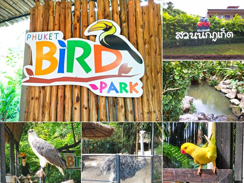 รีวิว สวนนก ภูเก็ต Phuket Bird Park
