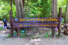 ทัวร์เลซี่ สิมิลัน