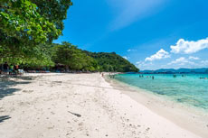ทัวร์เกาะไม้ท่อน บานาน่าบีช ครึ่งวัน