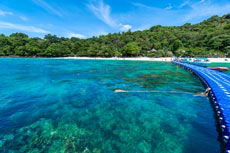 ทัวร์เกาะไม้ท่อน บานาน่าบีช ครึ่งวัน