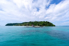 ทัวร์เกาะไม้ท่อน บานาน่าบีช ครึ่งวัน