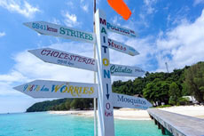 ทัวร์เกาะไม้ท่อน