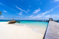 ทัวร์เกาะไม้ท่อน