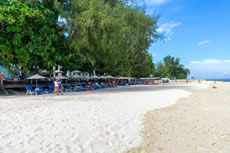 ทัวร์เกาะไม้ท่อน