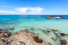 ทัวร์เกาะไม้ท่อน