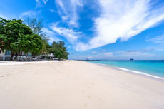 ทัวร์เกาะไม้ท่อน