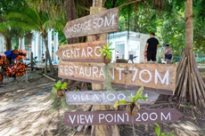 ทัวร์เกาะไม้ท่อน