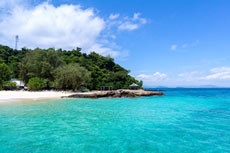 ทัวร์เกาะไม้ท่อน