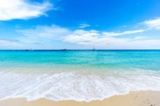 ทัวร์เกาะไม้ท่อน