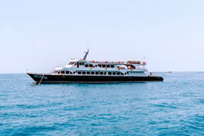 ทัวร์เกาะพีพี เรือหางยาว (เรือเฟอร์รี่)