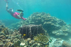ทัวร์เกาะพีพี เรือหางยาว (เรือเฟอร์รี่)