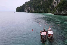 ทัวร์เกาะพีพี เรือหางยาว (เรือเฟอร์รี่)