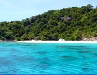ทัวร์ตกปลาทะเล