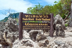 ทัวร์ทะเลแหวก