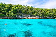ทัวร์เกาะไม้ท่อน เกาะราชา ซันเซท (เรือยอร์ช)