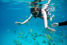 ทัวร์เกาะไม้ท่อน เกาะราชา ซันเซท (เรือยอร์ช)