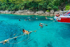 ทัวร์เกาะราชา