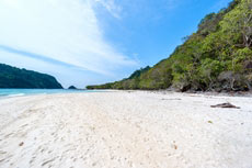 ทัวร์เกาะรอก เกาะห้า