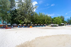 ทัวร์เกาะไม้ท่อน (เรือยอร์ช)