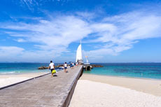 ทัวร์เกาะไม้ท่อน (เรือยอร์ช)