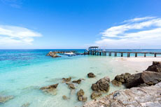 ทัวร์เกาะไม้ท่อน (เรือยอร์ช)