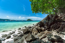 ทัวร์เกาะไม้ท่อน เกาะเฮ บานาน่า บีช (เรือยอร์ช)