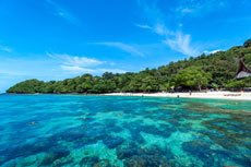ทัวร์เกาะไม้ท่อน เกาะเฮ บานาน่า บีช (เรือยอร์ช)