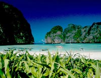 ทัวร์เกาะพีพี (เรือใหญ่)