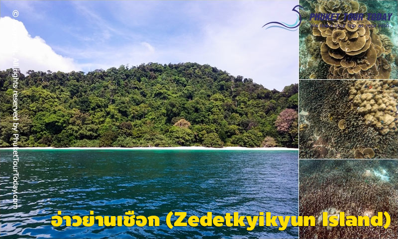 อ่าวย่านเชือก (Zedetkyikyun Island)